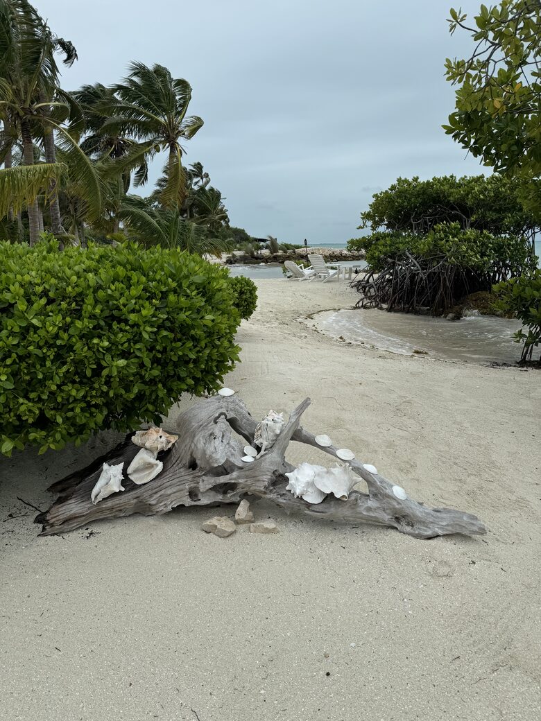 Sea View Residence at Blu Zen Belize Luxury Beach Resort | North Caye Caulker - Caye Caulker, Belize