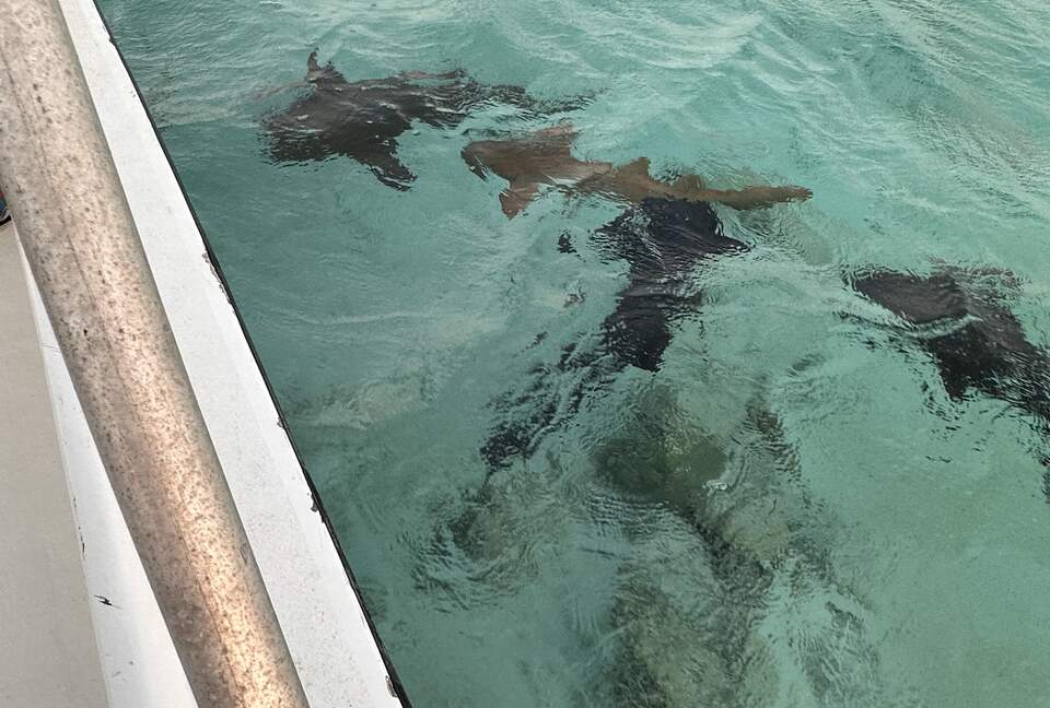 Sea View Residence at Blu Zen Belize Luxury Beach Resort | North Caye Caulker - Caye Caulker, Belize