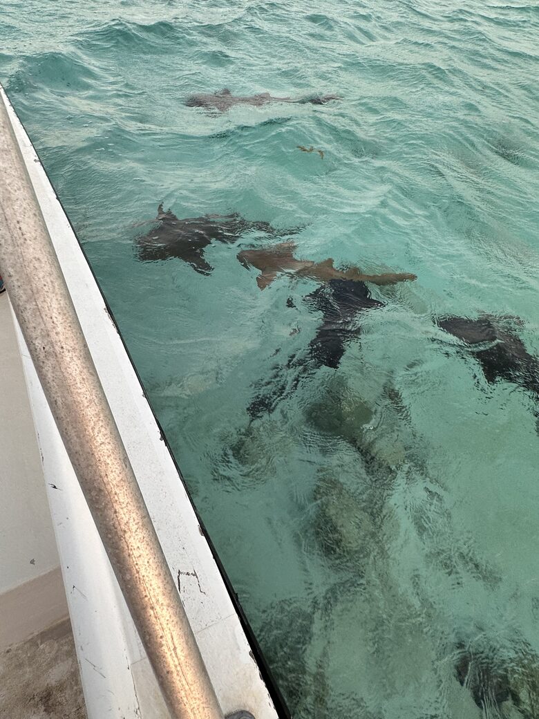 Sea View Residence at Blu Zen Belize Luxury Beach Resort | North Caye Caulker - Caye Caulker, Belize