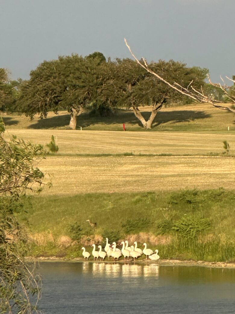 An Elegant Home on the Carmelo Golf Course - Carmelo, Uruguay