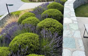 Arrowtown Golfside Retreat with Sun-Soaked Living - Arrowtown, New Zealand