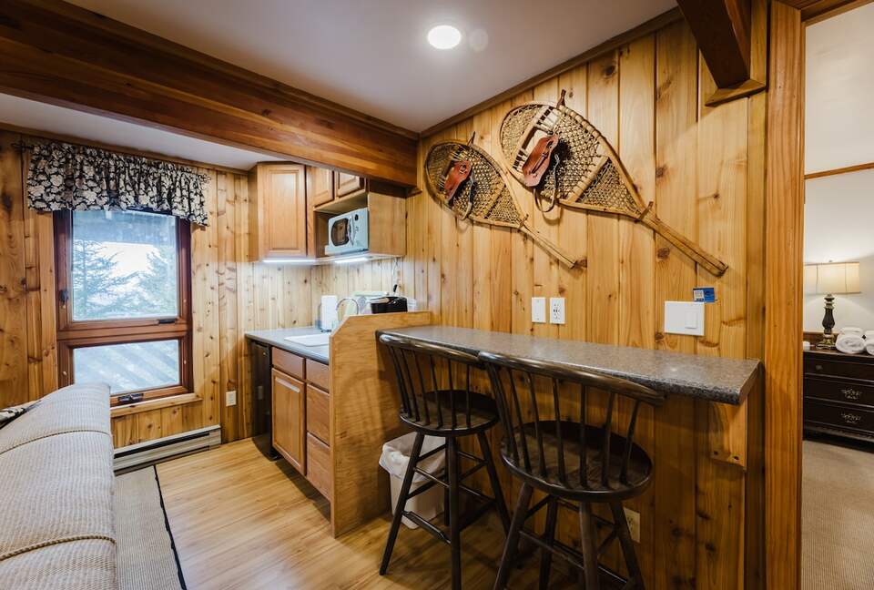 Snowshoe Mountain View Lodge - Snowshoe, West Virginia