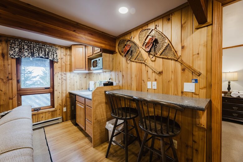 Snowshoe Mountain View Lodge - Snowshoe, West Virginia