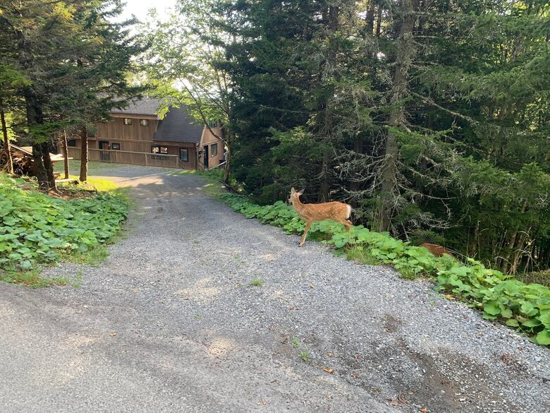Snowshoe Mountain View Lodge - Snowshoe, West Virginia