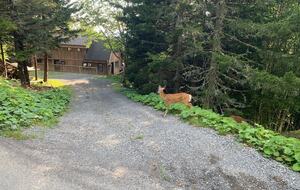 Snowshoe Mountain View Lodge - Snowshoe, West Virginia