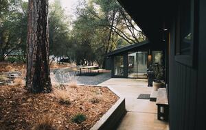 Modern Family Friendly Pine Mountain Lake Cabin | 30 miles from Yosemite - Groveland, California