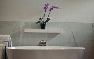 Architectural Oasis Near South Congress & Zilker Park - Austin, Texas