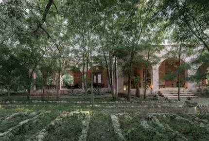 Peaceful Yucatán Escape Surrounded by Mayan Jungle - Mérida, Mexico