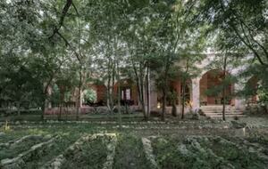 Peaceful Yucatán Escape Surrounded by Mayan Jungle - Mérida, Mexico