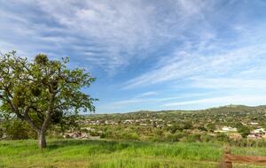 Paso Dream Wine Country Retreat - Paso Robles, California