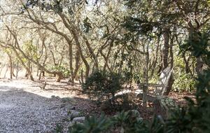 Classic Gulf Shores Cottage with Private Beach Access - Gulf Shores, Alabama