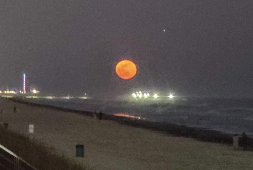 Relaxed Gulf Coast Escape in Jamaica Beach - Jamaica Beach, Texas