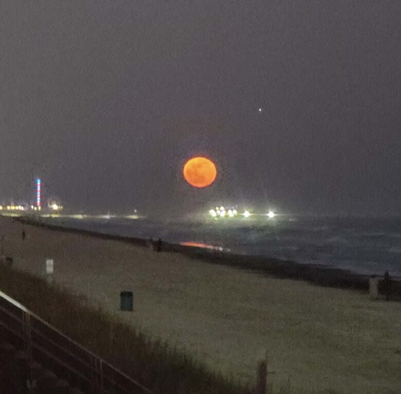 Relaxed Gulf Coast Escape in Jamaica Beach - Jamaica Beach, Texas