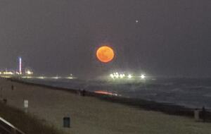 Relaxed Gulf Coast Escape in Jamaica Beach - Jamaica Beach, Texas