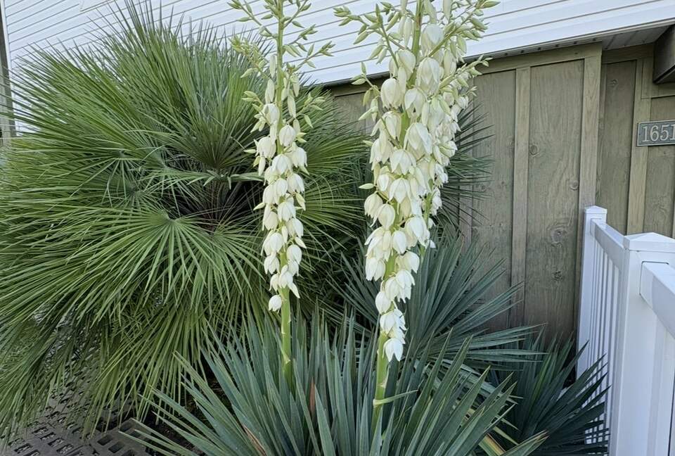 Relaxed Gulf Coast Escape in Jamaica Beach - Jamaica Beach, Texas