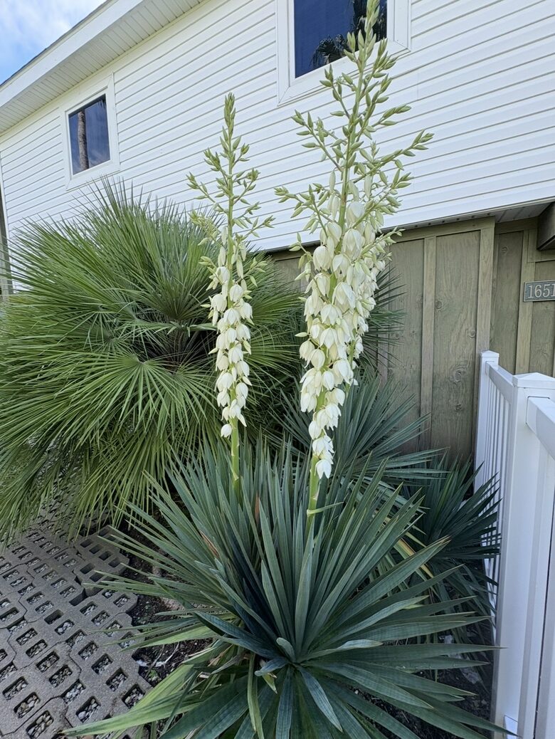 Relaxed Gulf Coast Escape in Jamaica Beach - Jamaica Beach, Texas