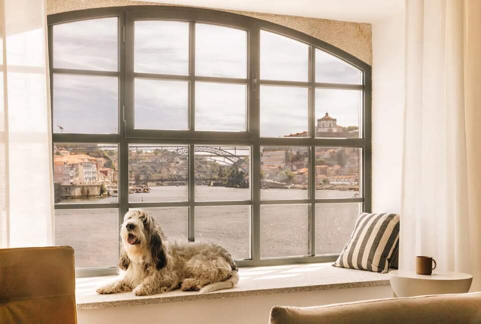 Delux 2-bedroom Apartment overlooking the old city and Douro River, Porto - Porto, Portugal