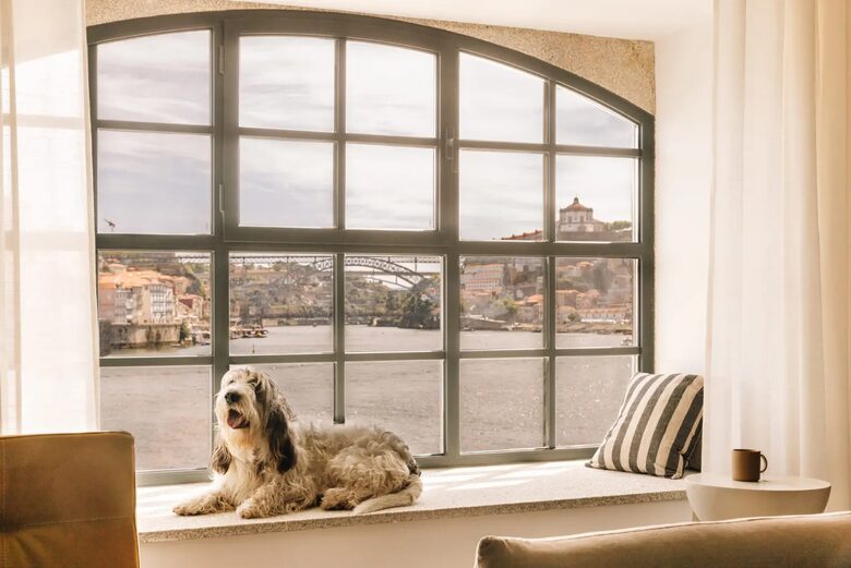 Delux 2-bedroom Apartment overlooking the old city and Douro River, Porto - Porto, Portugal