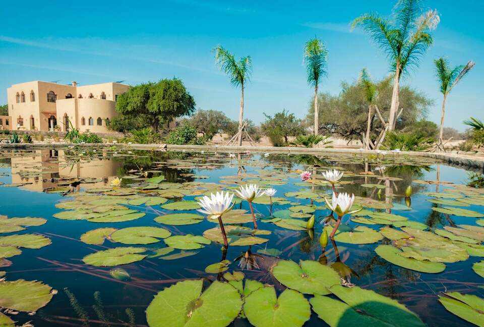 Essaouira's Sanctuary: A Serene Estate of Craft and Calm - Bouzama, Morocco