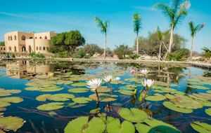 Essaouira's Sanctuary: A Serene Estate of Craft and Calm - Bouzama, Morocco