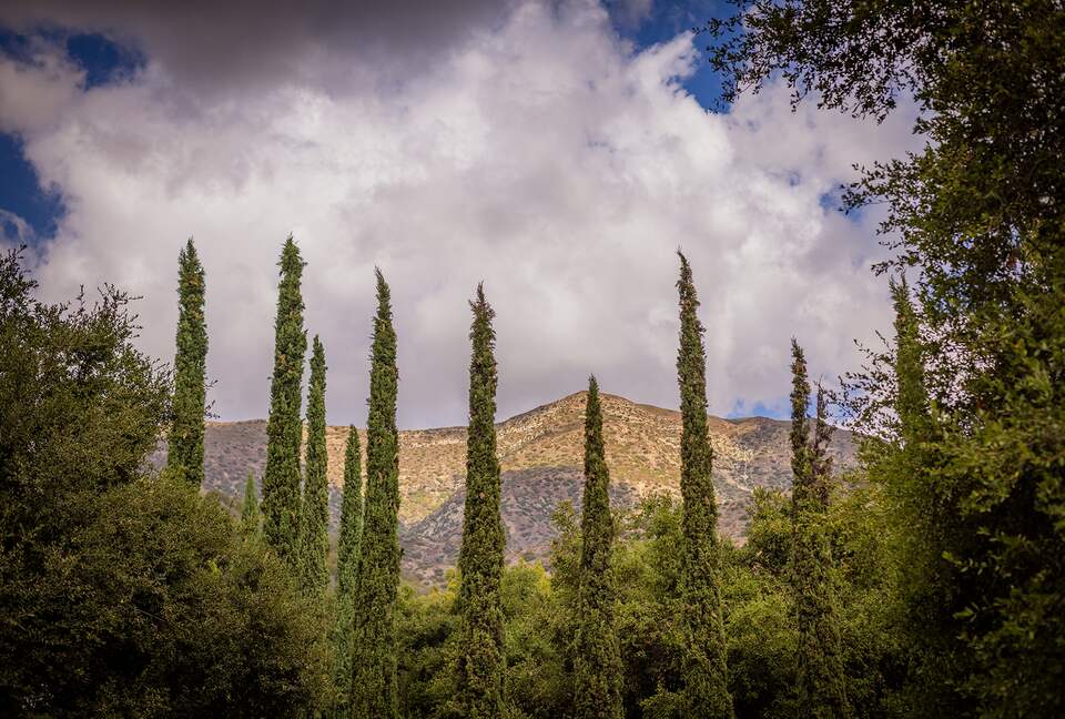 Modern Ojai Escape with Mountain Views & Pool - Ojai, California