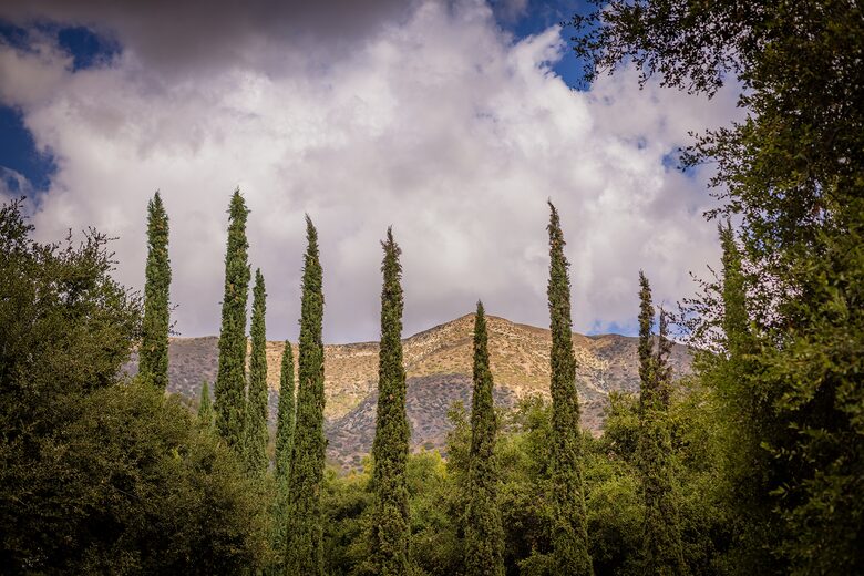 Modern Ojai Escape with Mountain Views & Pool - Ojai, California