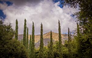 Modern Ojai Escape with Mountain Views & Pool - Ojai, California