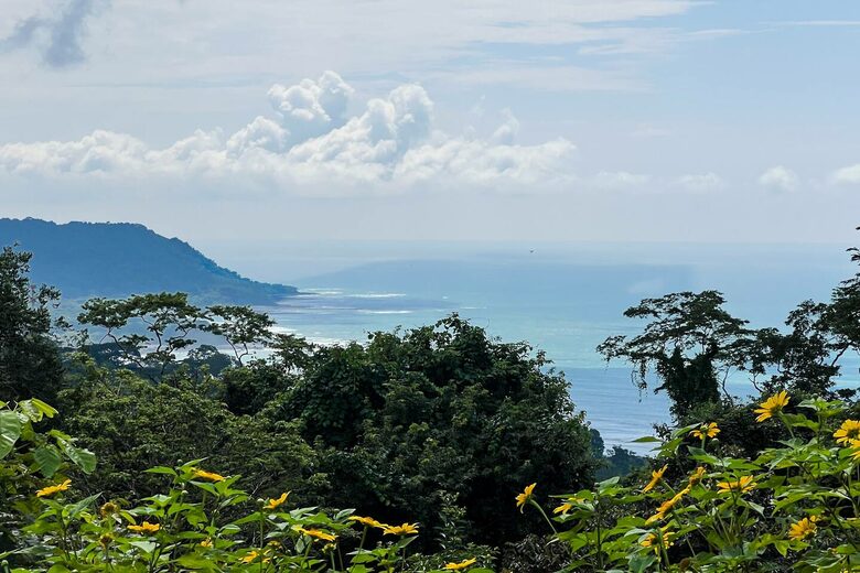 Modern Jungle Home with Ocean Views in Santa Teresa - Santa Teresa, Costa Rica