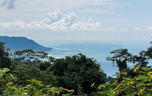 Modern Jungle Home with Ocean Views in Santa Teresa - Santa Teresa, Costa Rica