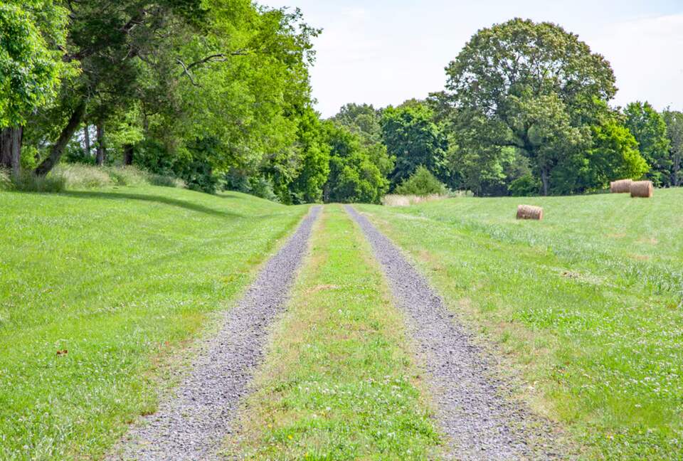 Peaceful Culpeper Escape on 50 Acres with Resort-Style Amenities - Culpeper, Virginia