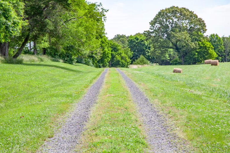 Peaceful Culpeper Escape on 50 Acres with Resort-Style Amenities - Culpeper, Virginia