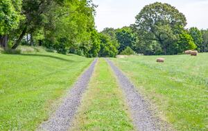 Peaceful Culpeper Escape on 50 Acres with Resort-Style Amenities - Culpeper, Virginia