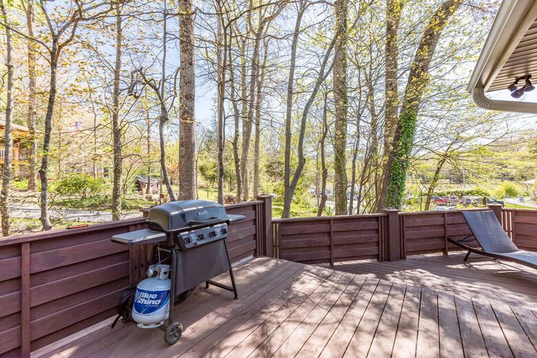 Modern Black Mountain Home Across from Lake Tomahawk - Black Mountain, North Carolina