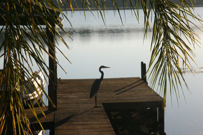 Lakefront Living with Hot Tub & Dock in the Heart of Orlando - Orlando, Florida