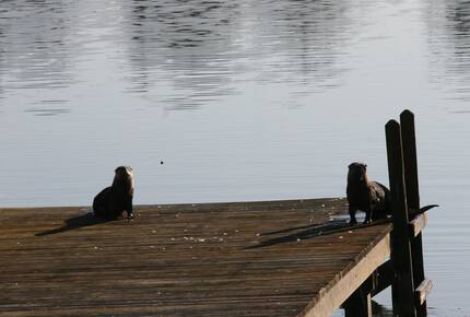 Lakefront Living with Hot Tub & Dock in the Heart of Orlando - Orlando, Florida
