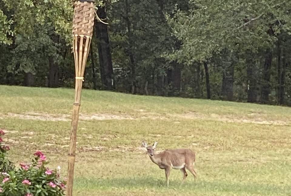 Peaceful Countryside Retreat Near Troy - Ramer, Alabama