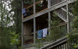 Northwoods Lakefront Retreat on Frazer Bay - Tower, Minnesota