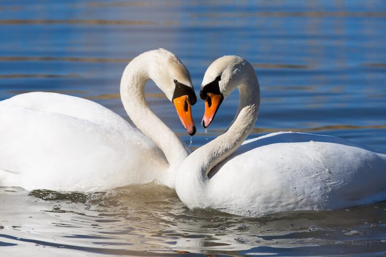 Simple Comforts and Spectacular Sea Views on a Private Island - Uusikaupunki, Finland