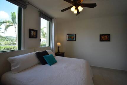 Coastal Oceanfront Residence at Río Mar - Río Grande, Puerto Rico