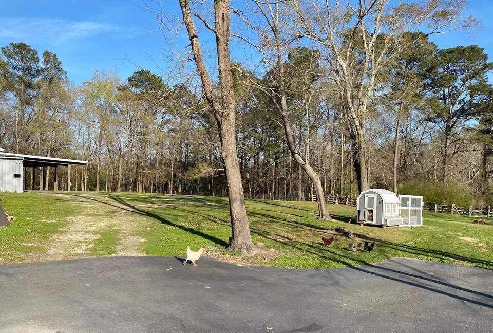 Peaceful Countryside Retreat Near Troy - Ramer, Alabama