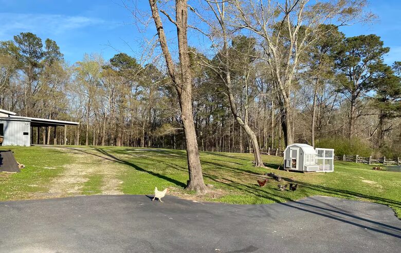 Peaceful Countryside Retreat Near Troy - Ramer, Alabama