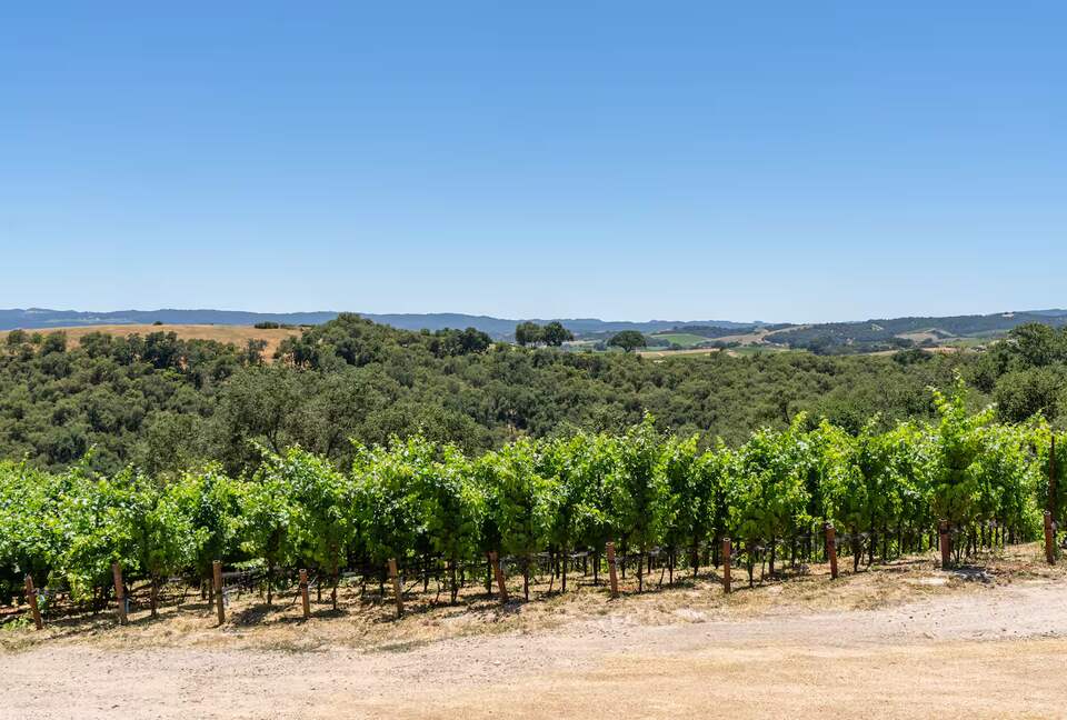 Wine Country Escape with Panoramic Vineyard Views - Paso Robles, California