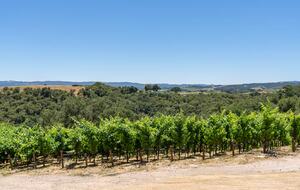 Wine Country Escape with Panoramic Vineyard Views - Paso Robles, California
