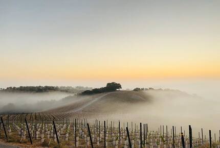 Private Vineyard Estate Retreat in Paso Robles Willow Creek District - Paso Robles, California