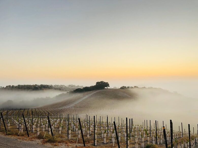 Private Vineyard Estate Retreat in Paso Robles Willow Creek District - Paso Robles, California