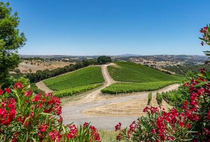 Private Vineyard Estate Retreat in Paso Robles Willow Creek District - Paso Robles, California