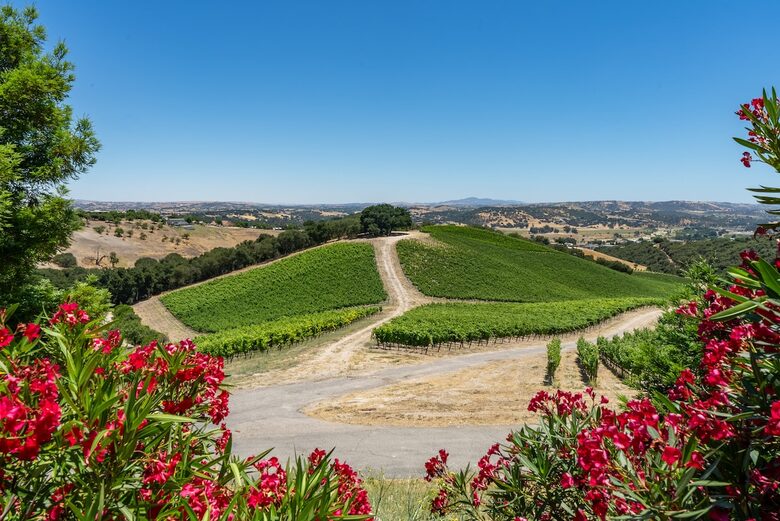 Private Vineyard Estate Retreat in Paso Robles Willow Creek District - Paso Robles, California