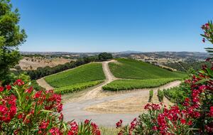 Private Vineyard Estate Retreat in Paso Robles Willow Creek District - Paso Robles, California