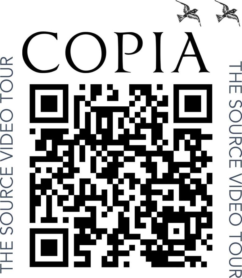 Private Vineyard Estate Retreat in Paso Robles Willow Creek District - Paso Robles, California