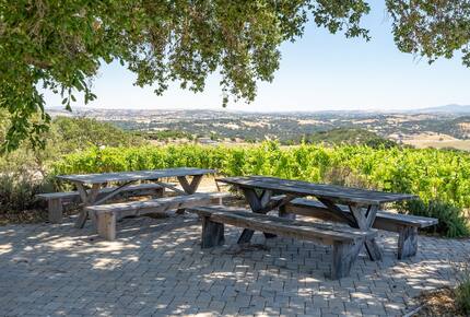 Private Vineyard Estate Retreat in Paso Robles Willow Creek District - Paso Robles, California